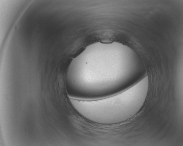 X0000061120037200511241722