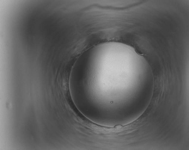 X0000061120039200511241722