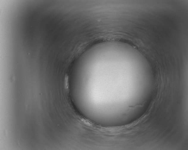 X0000061120041200511241722