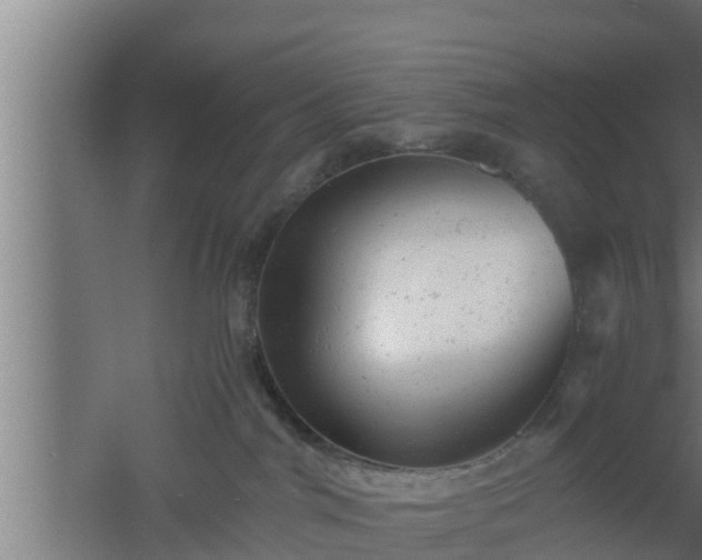 X0000061120044200511241722