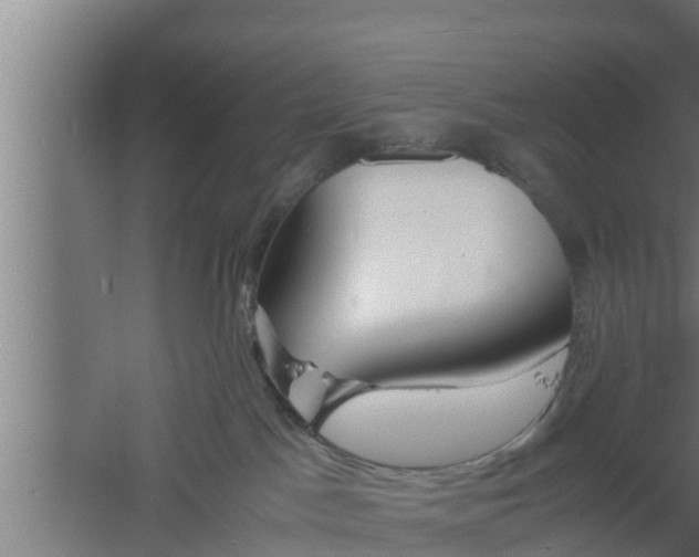 X0000061120045200511241722