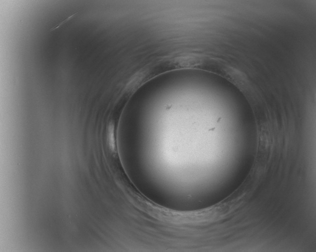 X0000061120046200511241722