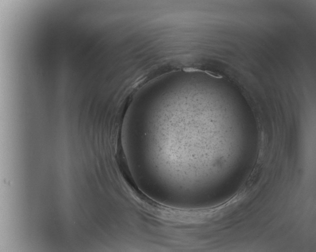 X0000061120048200511241722