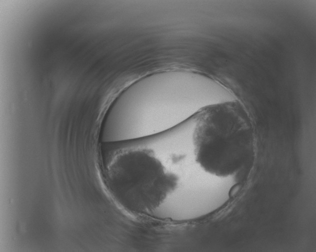 X0000061120049200511241721