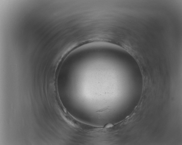 X0000061120050200511241721