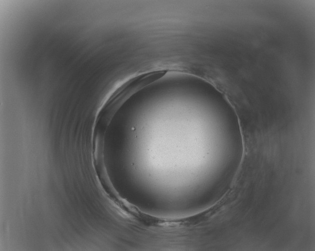 X0000061120052200511241721