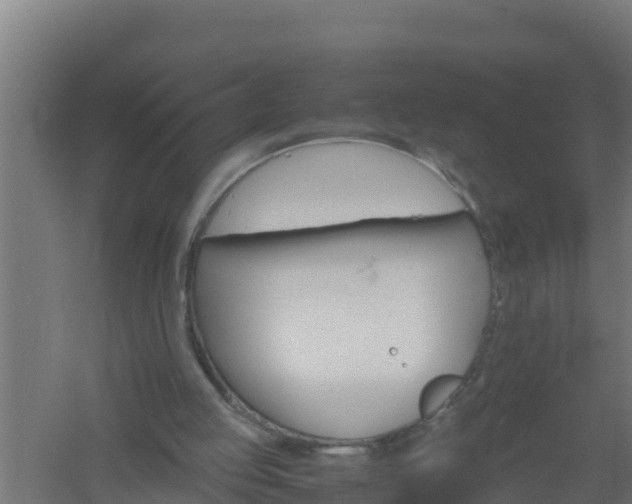 X0000061120053200511241721