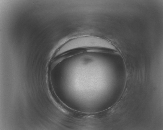 X0000061120054200511241721