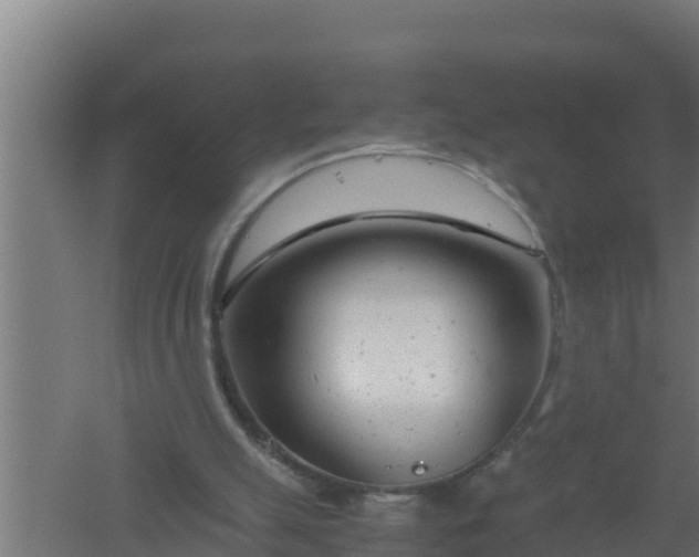 X0000061120055200511241721