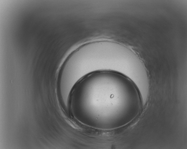 X0000061120056200511241721