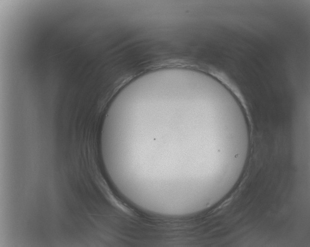 X0000061120057200511241721