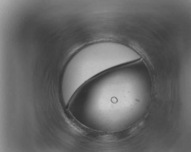 X0000061120058200511241721