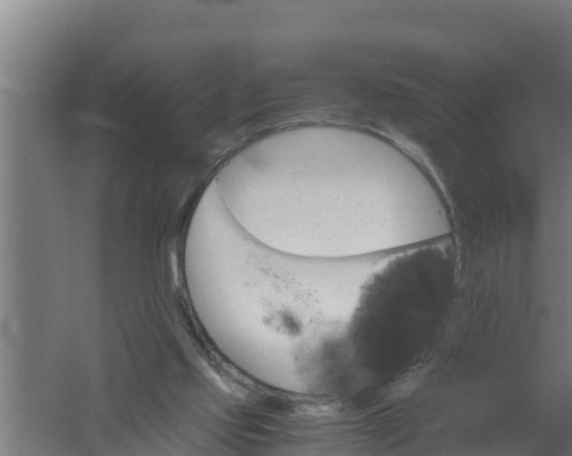 X0000061120061200511241721