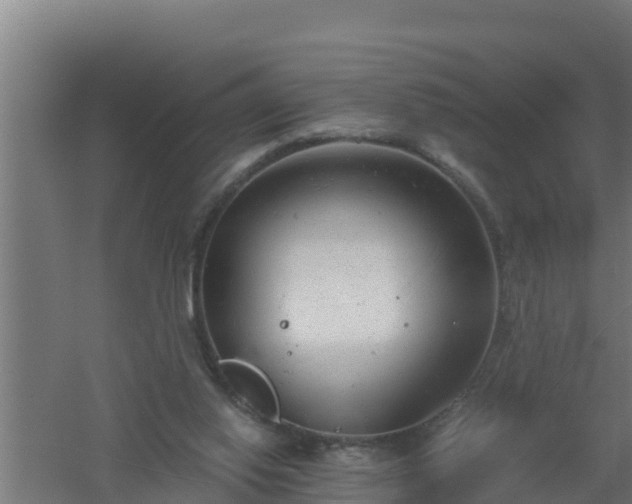 X0000061120062200511241721