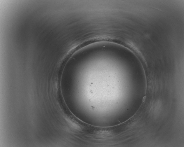 X0000061120063200511241721