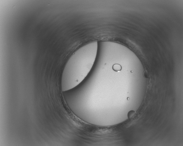 X0000061120065200511241721