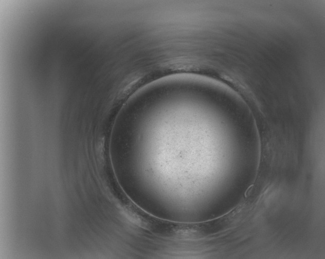 X0000061120066200511241721