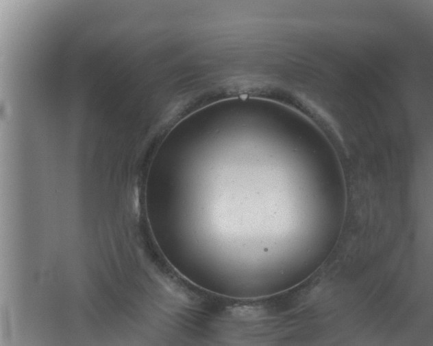 X0000061120067200511241721