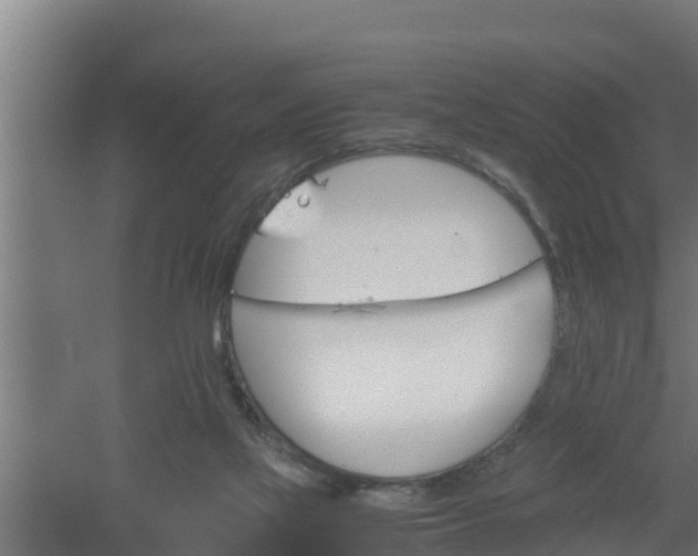 X0000061120069200511241721