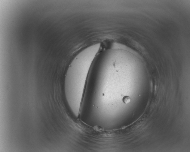 X0000061120071200511241721