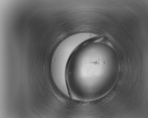 X0000061120072200511241721