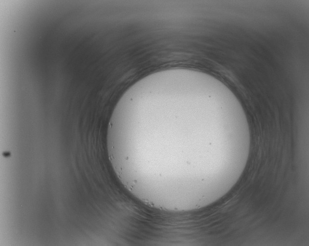 X0000061120073200511241721