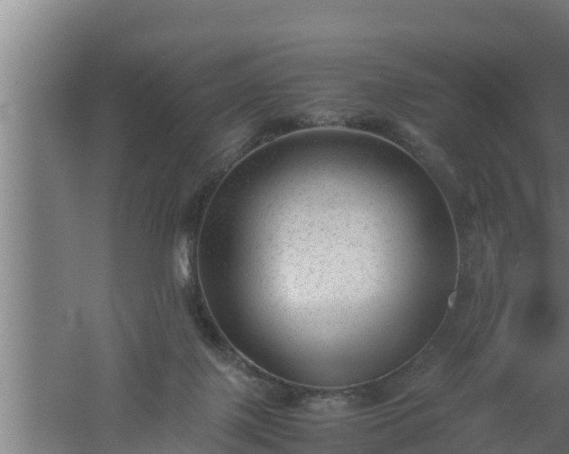 X0000061120075200511241721