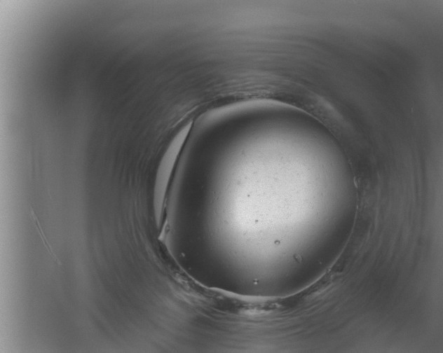 X0000061120076200511241721