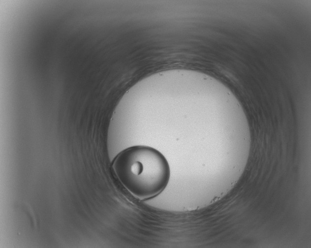 X0000061120077200511241721