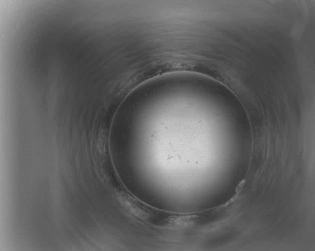 X0000061120078200511241721