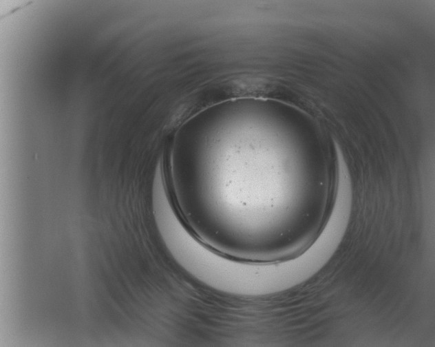 X0000061120079200511241721