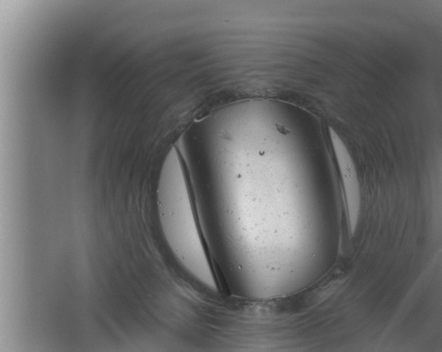 X0000061120080200511241721