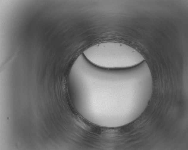 X0000061120081200511241721