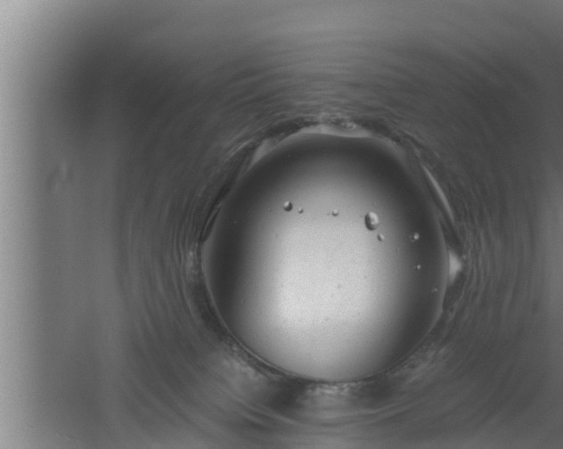 X0000061120084200511241721