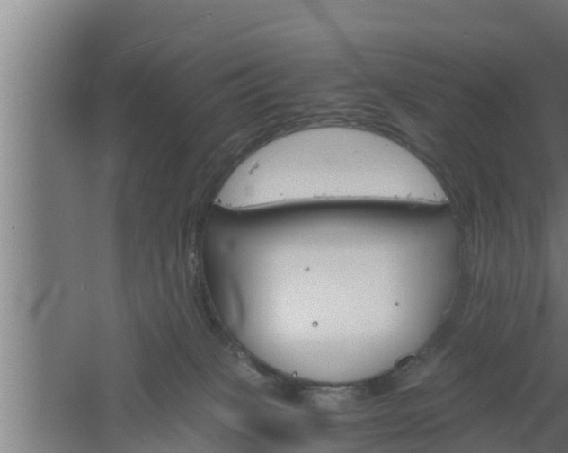 X0000061120085200511241721