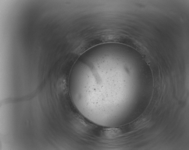 X0000061120087200511241721