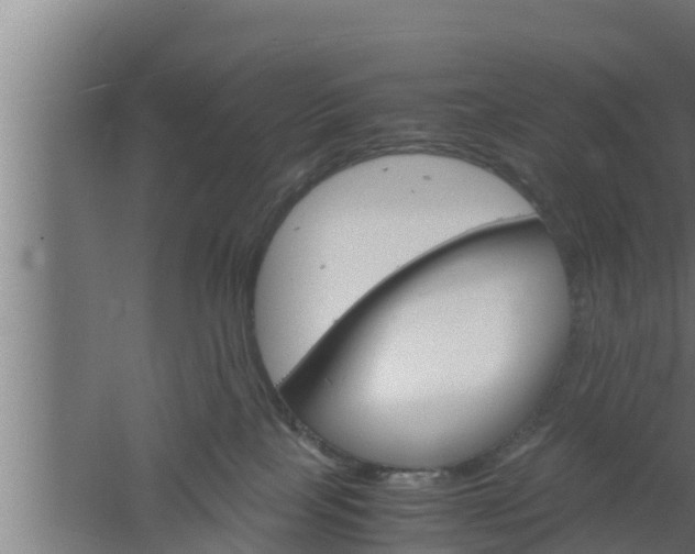 X0000061120089200511241721