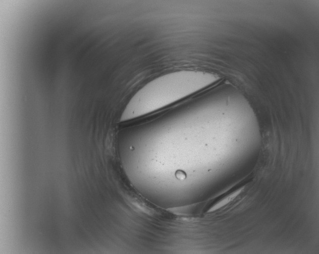 X0000061120092200511241721