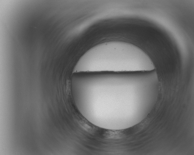 X0000061120093200511241721