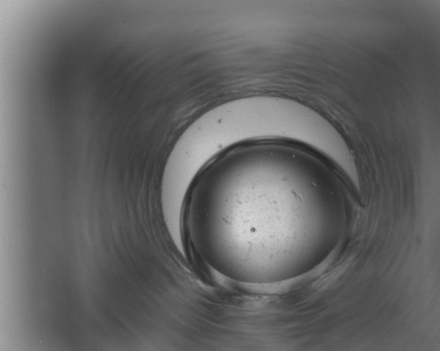 X0000061120096200511241722