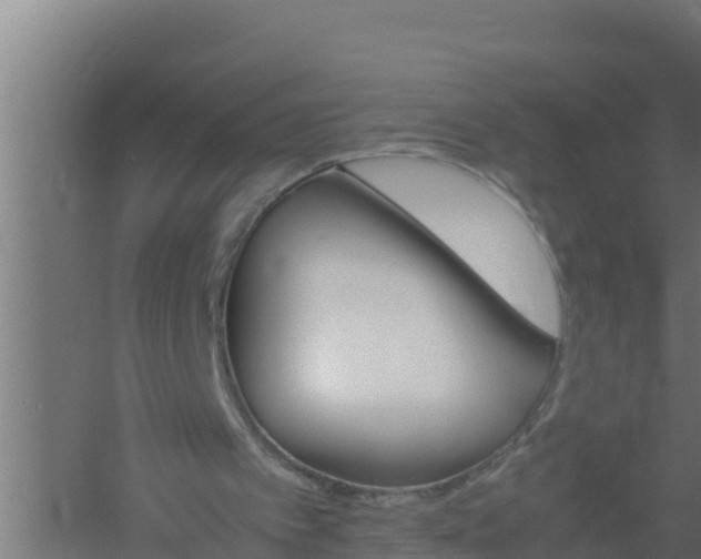 X0000061120097200511241721