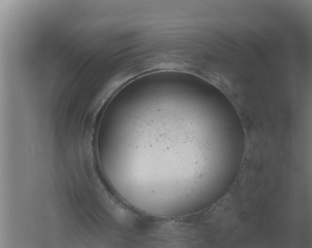 X0000061120098200511241721