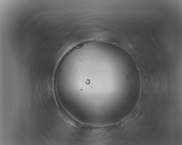 X0000061120100200511241721