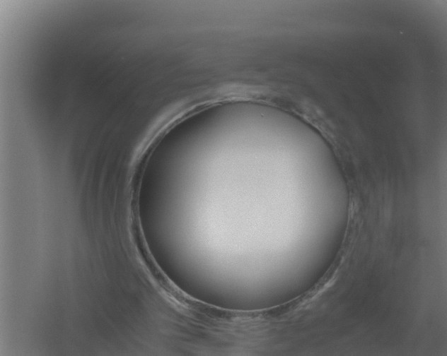 X0000061120101200511241721