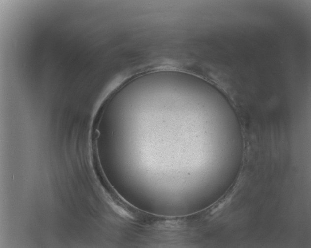 X0000061120102200511241721