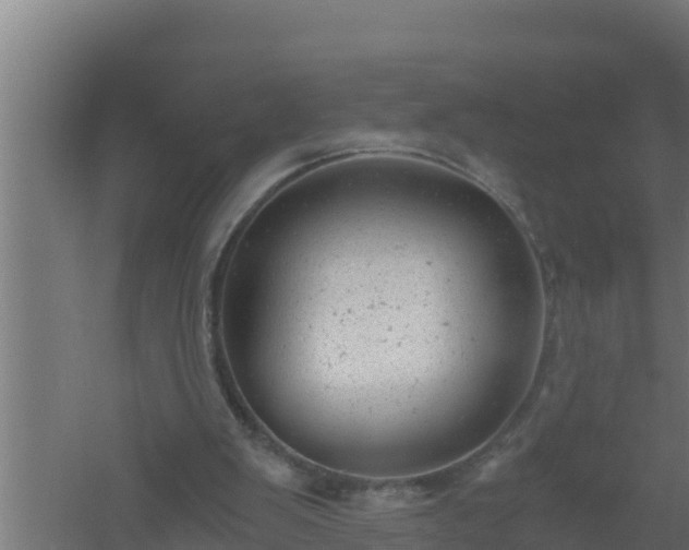 X0000061120103200511241721