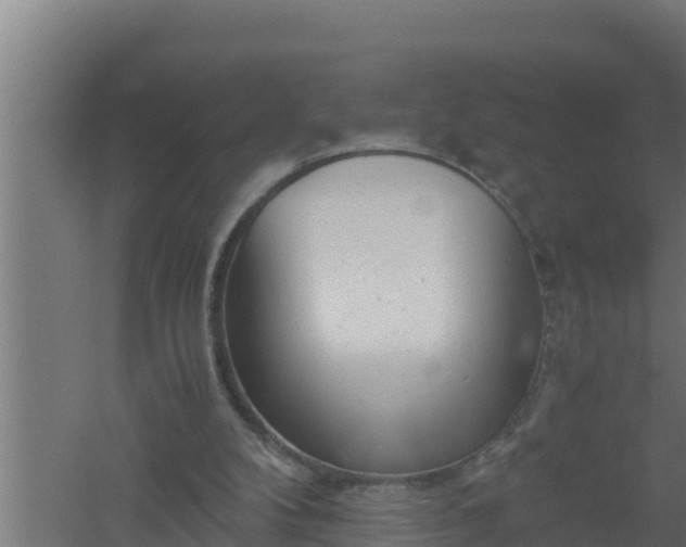 X0000061120104200511241721