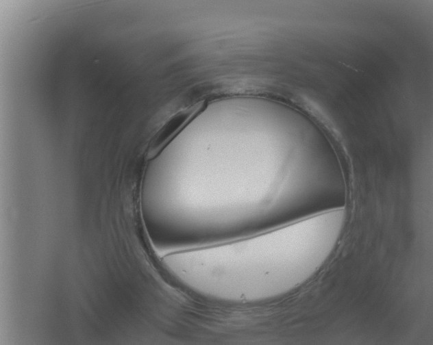 X0000061120105200511241721