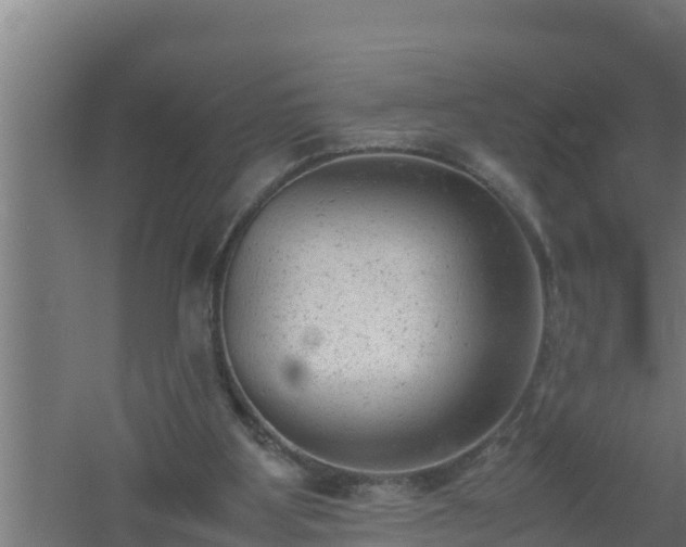 X0000061120107200511241721