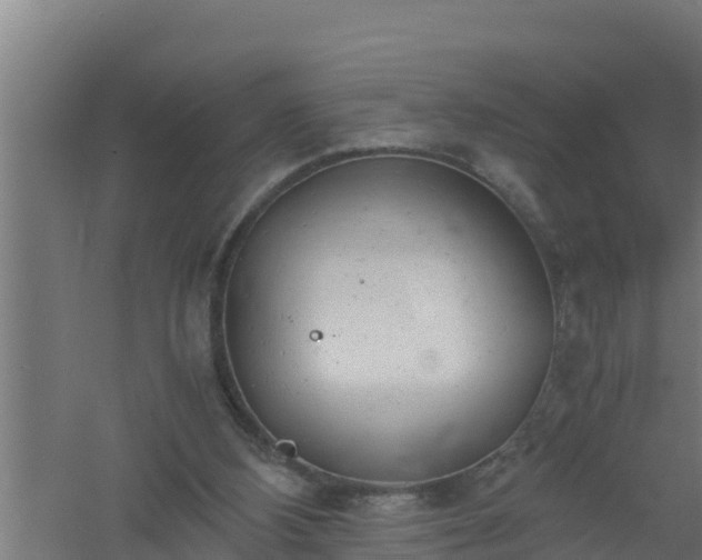 X0000061120108200511241720